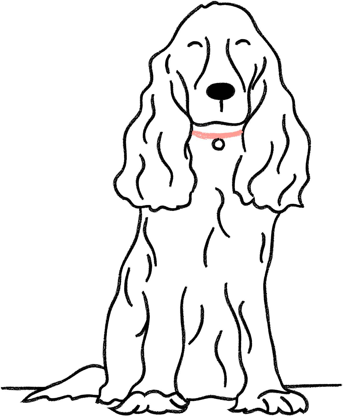A black and white line drawing of a Cocker Spaniel with a wavy coat and wearing a red collar.