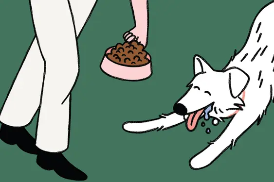 drawing of dog being fed