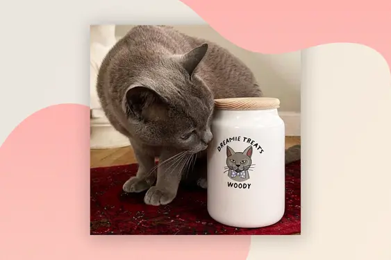 Cat treat jar