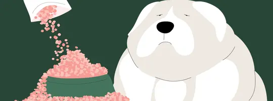 An illustration of a dog food bowl being overflowed with pink kibble, next to an oversized dog