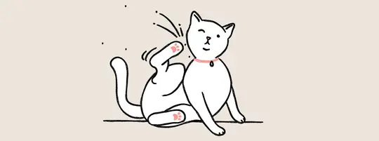 drawing of a kitten itching itself