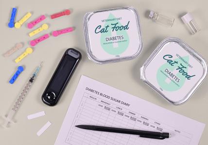 Diabetes disease with cats with veterinary cat food, glucometer and syringe and blood sugar diary on gray background, flat lay