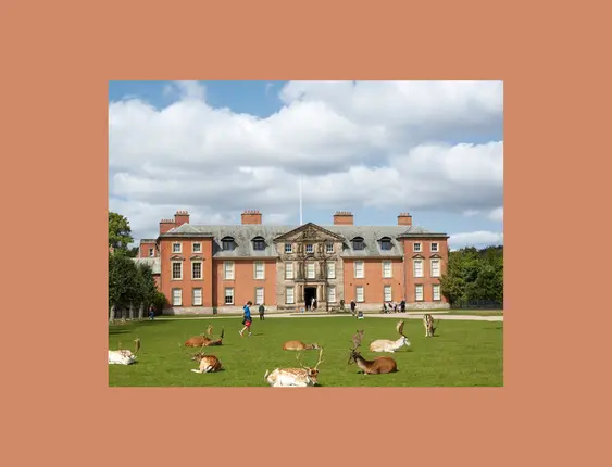 An elegant red brick Georgian manor, Dunham Massey, stands prominently with deer resting peacefully on its vast front lawn under a partly cloudy sky.