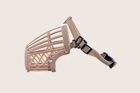 light pink colored dog muzzle on a tan background