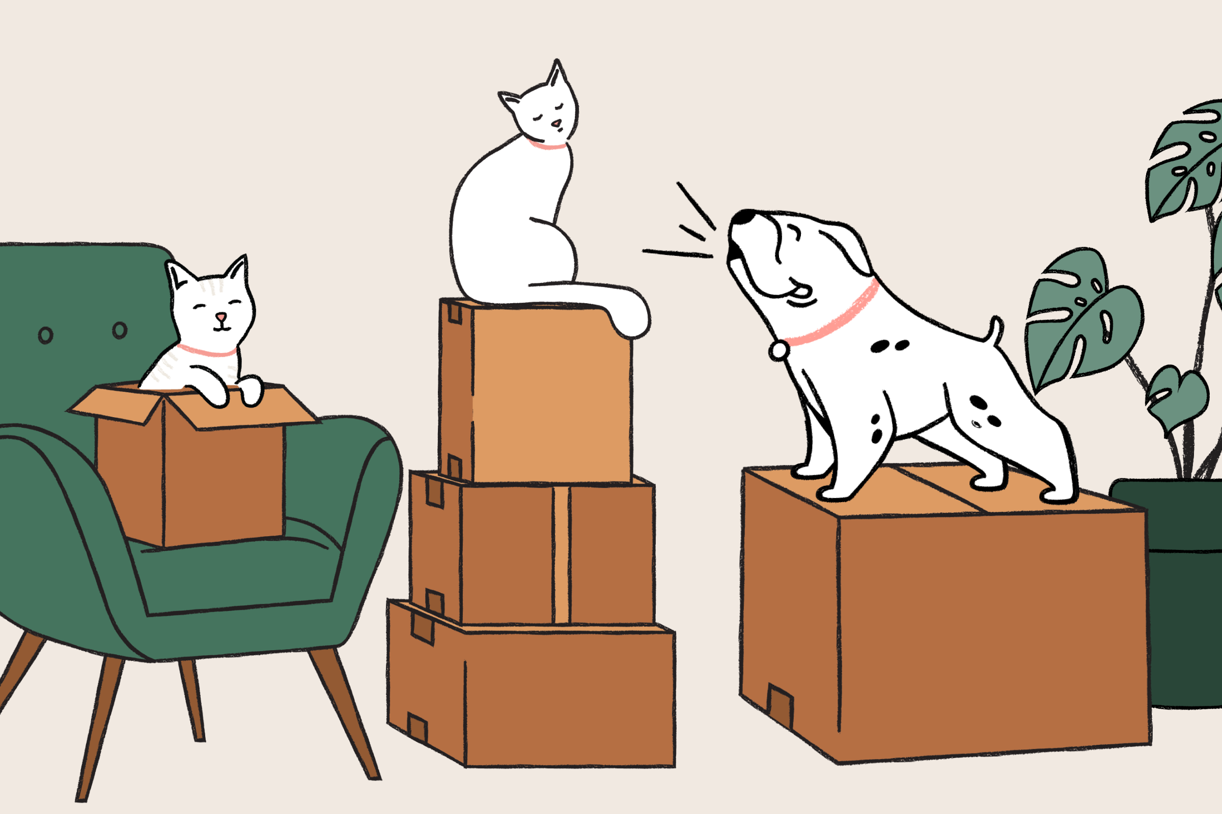 An illustration of one white cat perched atop stack of moving boxes, another cat peeking out of the top of a box on a green armchair, and a spotted white dog barking toward the cats.
