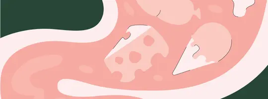 An illustration of a dog's stomach contents, featuring a green background and showing items like a bone, a piece of cheese, and an ice cream cone inside the stomach