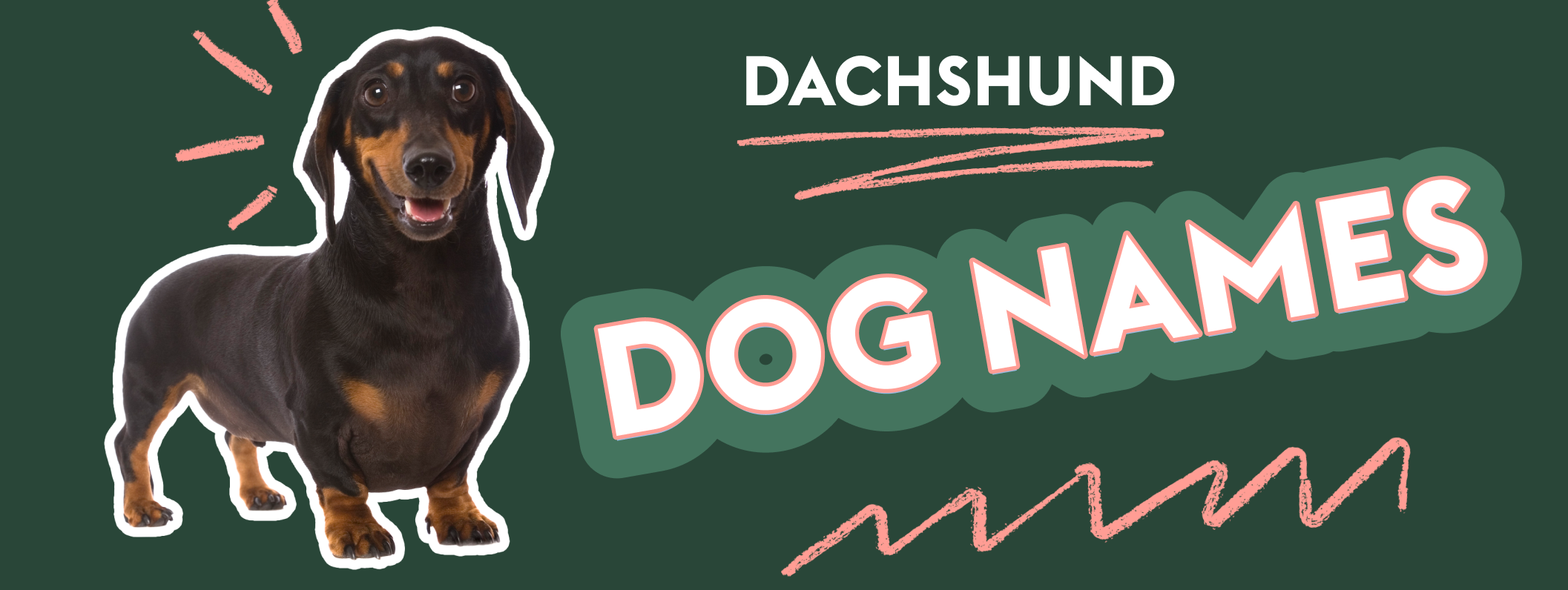 The image features a dachshund dog on the left side with the text "Dachshund Dog Names" in bold letters on the right. The background is dark green, and the text is accented with pink highlights and squiggly lines for emphasis.