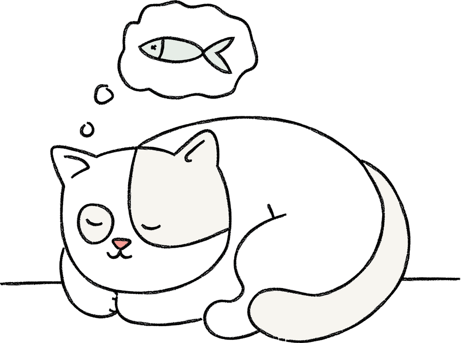 a kitten dreams of dish