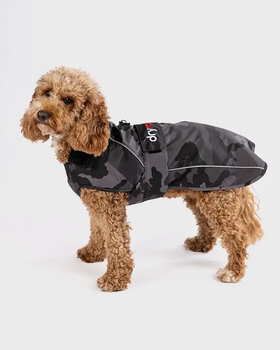 Image of a brown dog in a camo dryrobe jacket