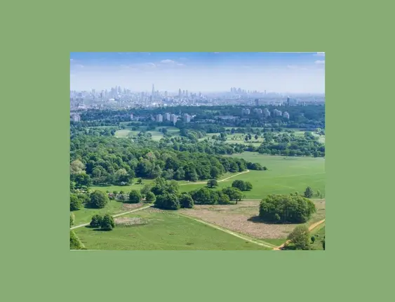 Landscape view of a rich green Richmond Park with the London city skyline in the distance.