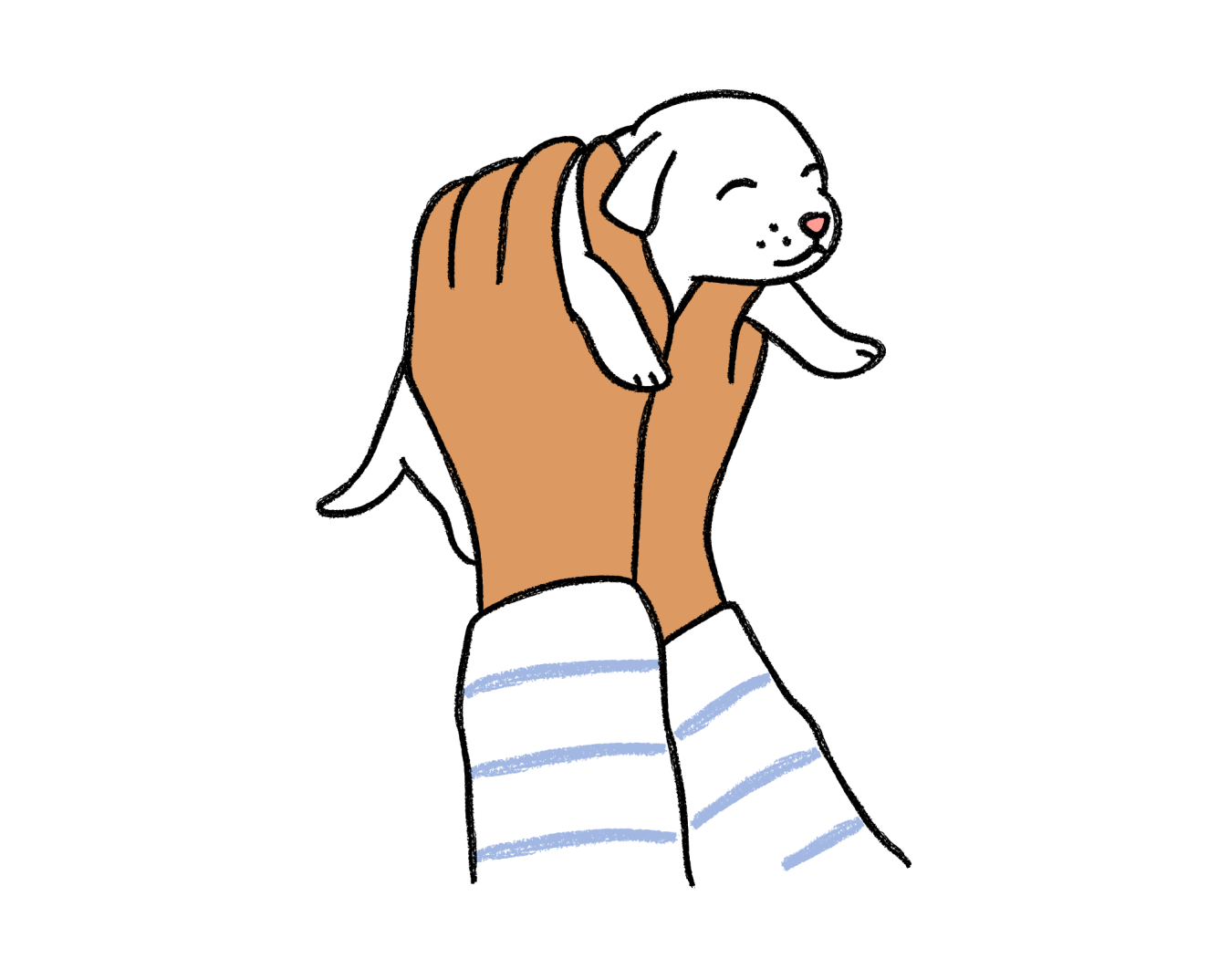 Drawing of hands holding up a puppy