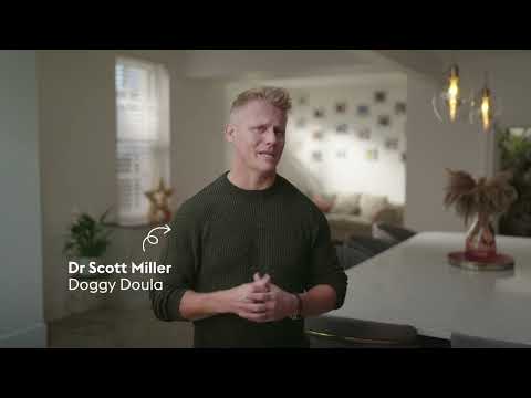 MyPetCover Doggy Doula on how to deal with arguments about caring for your puppy