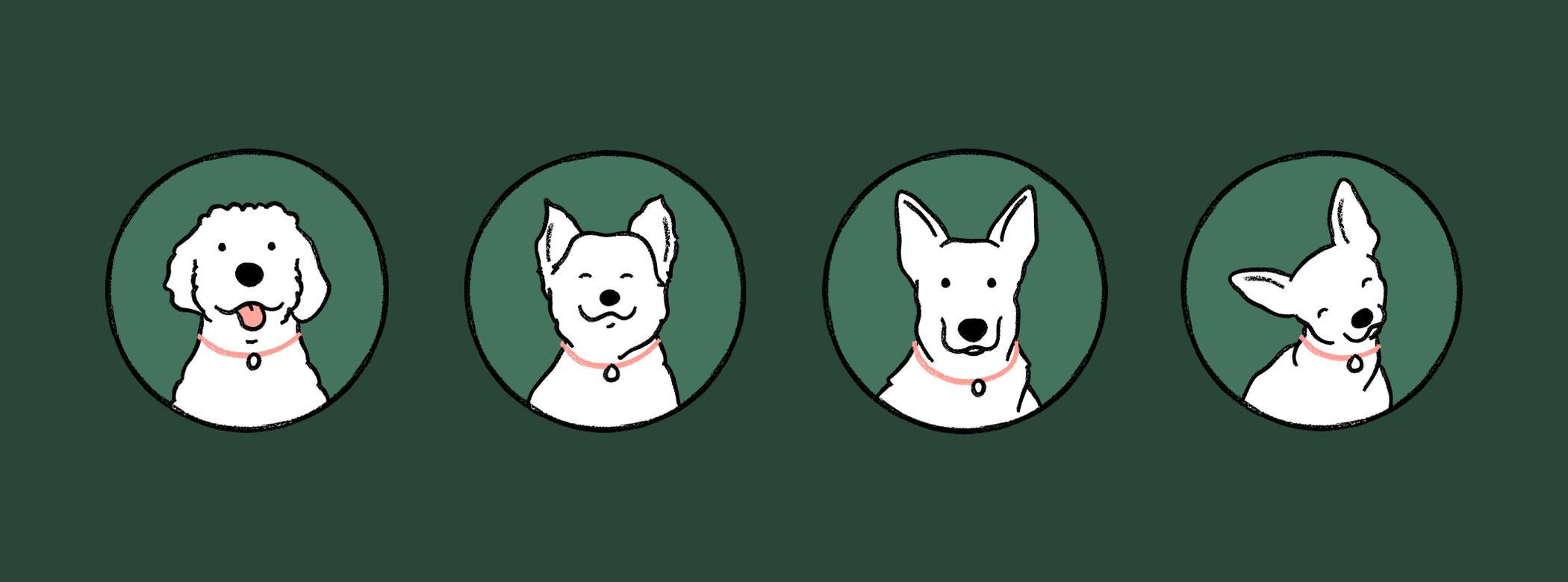 illustrations of four white dogs in circles on a green background