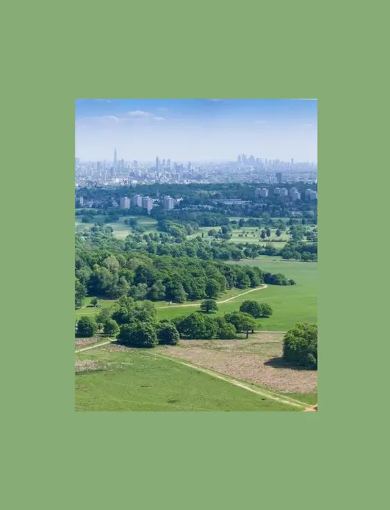 Landscape view of a rich green Richmond Park with the London city skyline in the distance.
