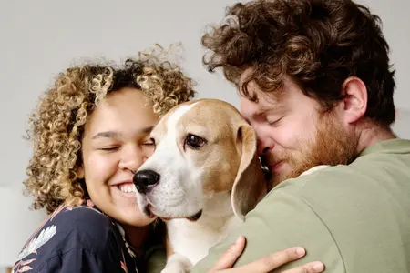 A young mixed race couple cuddling their beagle dog, the woman has curly hair and is smiling at her man with brown short curly hair on a neutral background