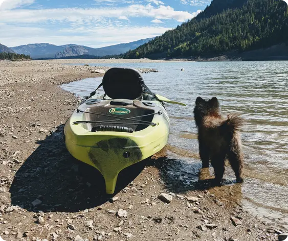 A dog standing next to a kayak on the shore of a lake. The dog seems ready for an adventure on the water.