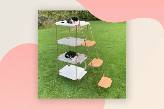 Cat Tower