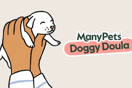 Illustration of a puppy being held