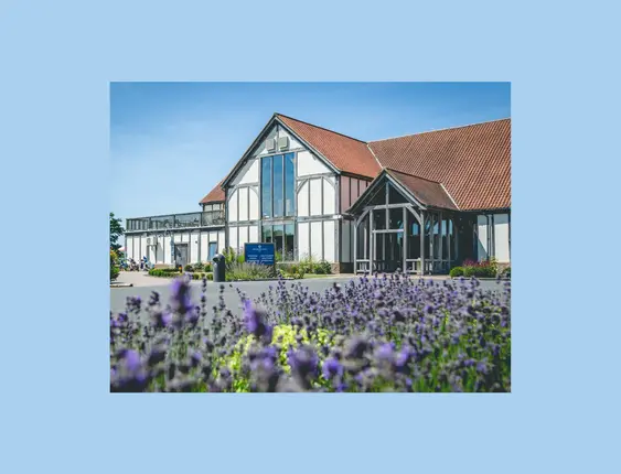 White building with dark wooden beams, with lavender flowers in front of it.