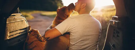 man in gray shirt sits on end of tailgate with dog kissing face facing towards the setting sun and landscape