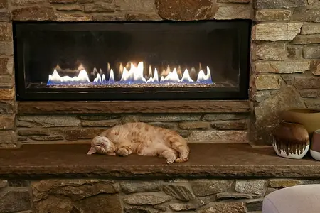 A ginger cat happily lazes next to a fire with a glass door, they're on their back and wearing a joyful expression