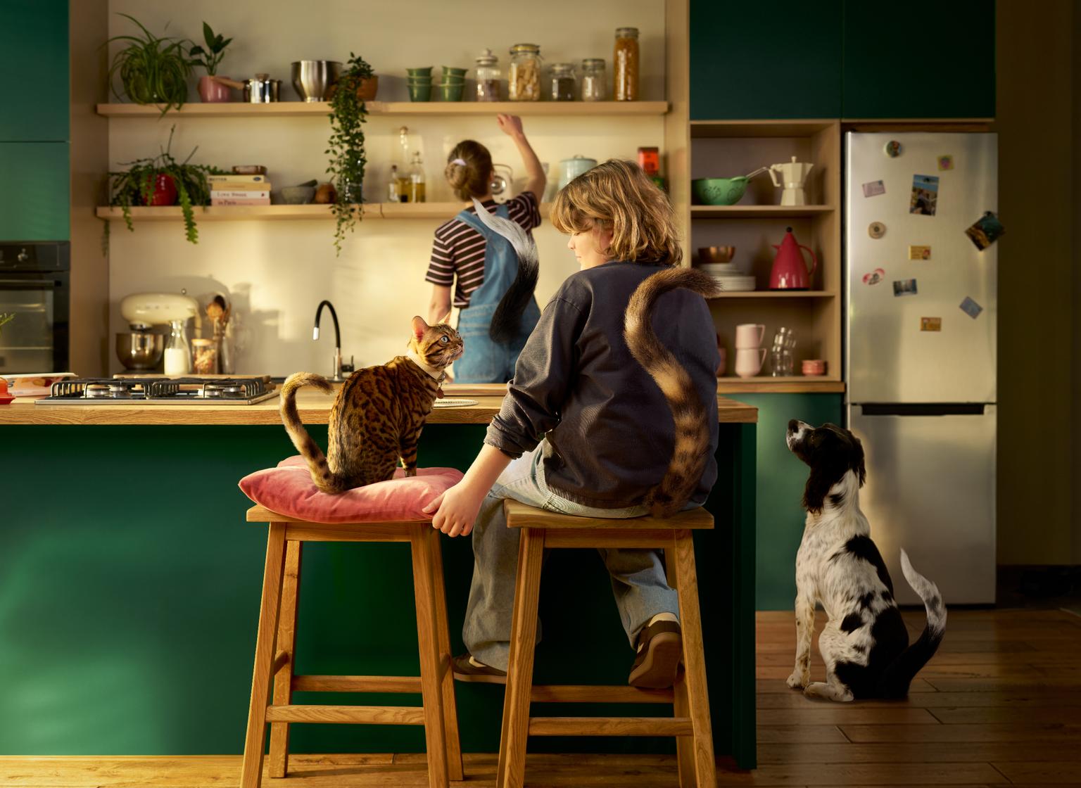 Image of a boy with a matching tail to his cat, as well as a woman with a matching tail as her dog, both are sat in the kitchen