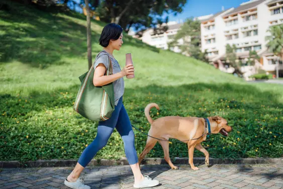 Young Asian woman holding a reusable drinking bottle, walking her pet dog on a leash in the park on a sunny morning