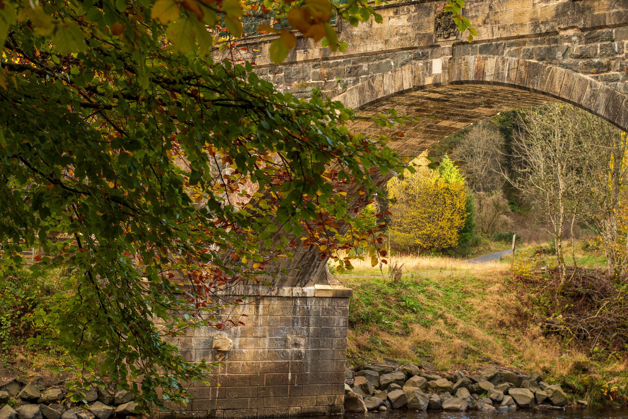Image of an old bridge in The Hermitage, Scotland - the weather looks cold and the season is autumn
