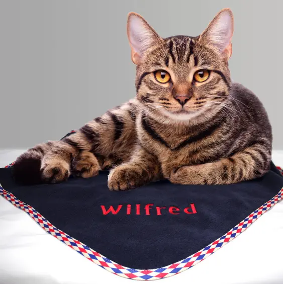 Image of the luxury personalised cat blanket from Chelsea Cats featuring a brown, striped cat