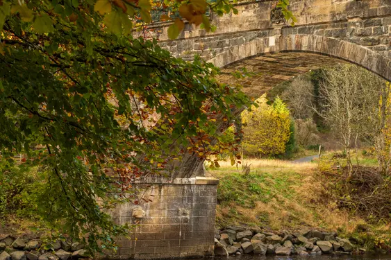 Image of an old bridge in The Hermitage, Scotland - the weather looks cold and the season is autumn