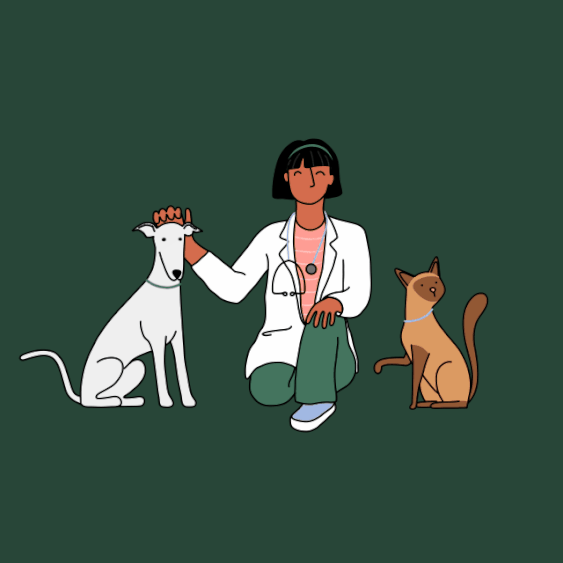 Vet petting dog and cat