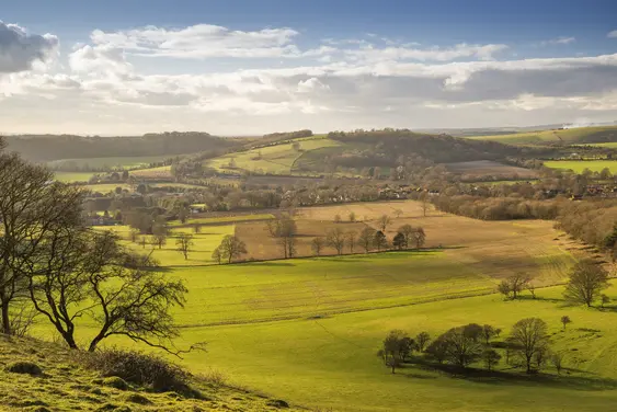 Image of countryside near Cissbury Ring on a sunny day