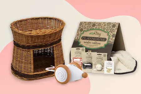 2023 must-buy gifts for you cat