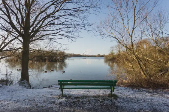 Image of a bench looking out at Attenborough Nature Reserve