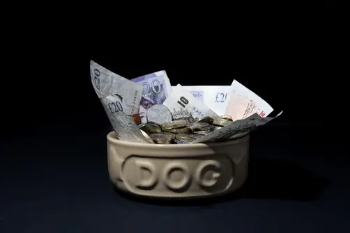 Money in a dog bowl