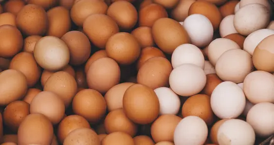 Close up of a load of eggs of varying colours