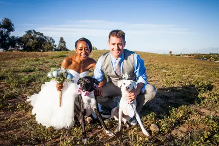 A bride and a groom in their wedding finery crouch in a wide open field - with their two dogs in front of them.