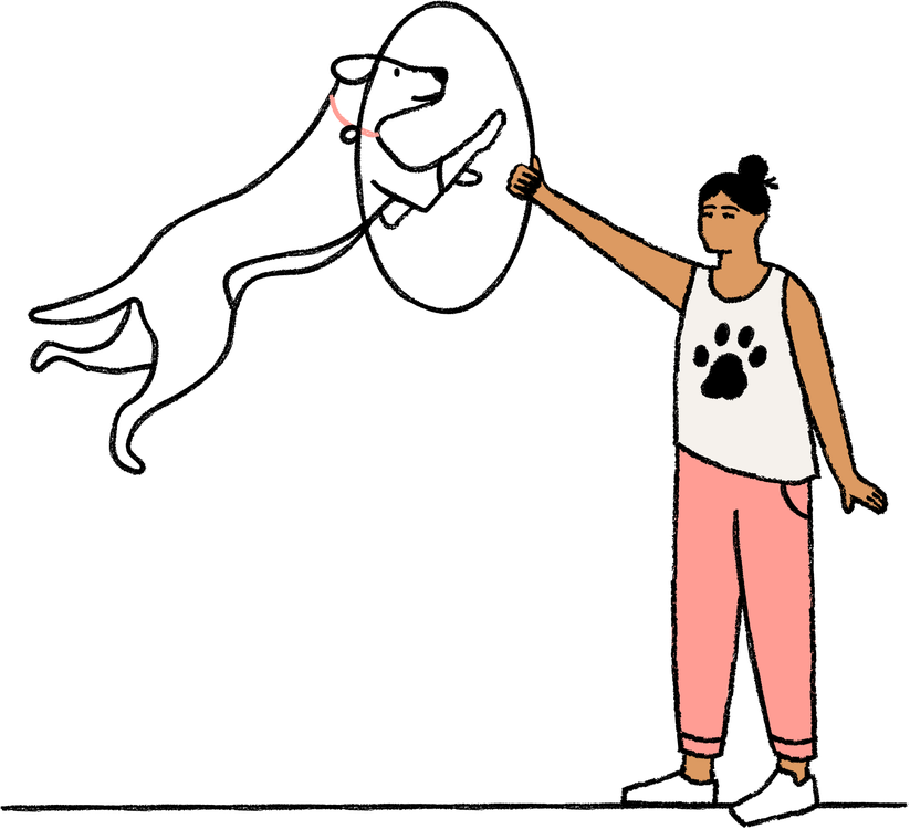 Pet training - dog jumping through hoop illustration