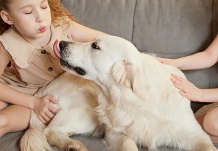 Two young girls and a golden retriever sitting on a grey couch