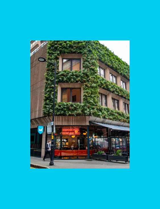 Urban hotel and bar covered with green plants, with "DogHouse Hotel" sign - it is a glass-enclosed pub on a city street.