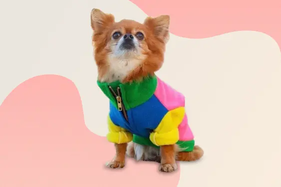 Gatsby 90s Dog Fleece, by The Distinguished Dog Company