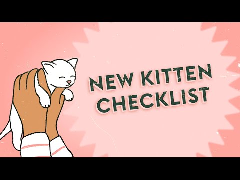 New Kitten Essentials - Ultimate Checklist · Vet Tips