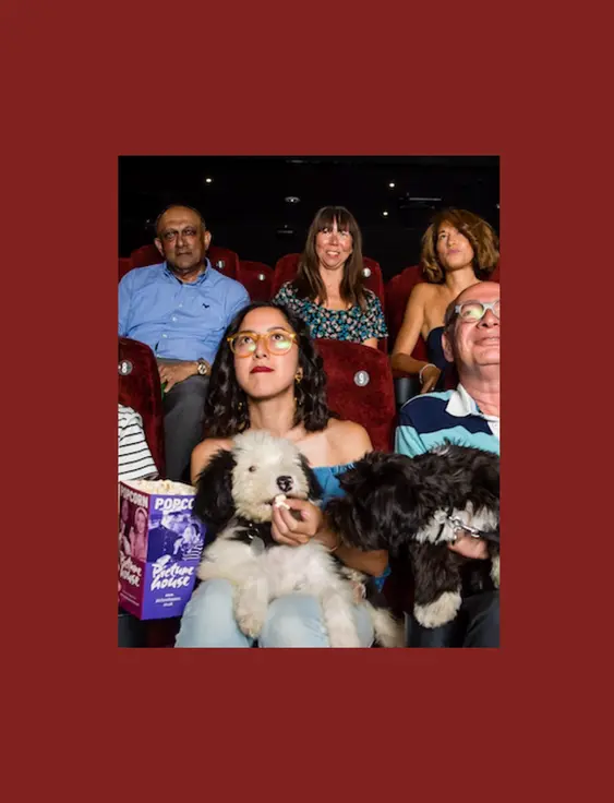 Happy moviegoers with their dogs enjoying a film in a pet-friendly cinema, complete with popcorn and smiles all around in a cozy theatre setting