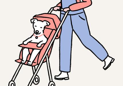 drawing of a dog in a stroller