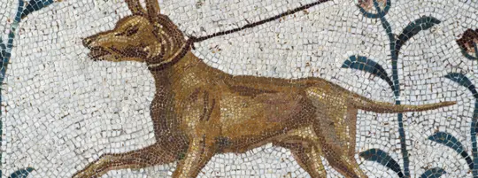 Dog cave painting