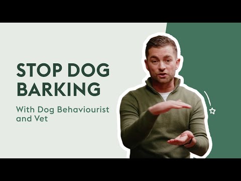 How To Stop Your Dog Barking | Dog Behaviour Tips