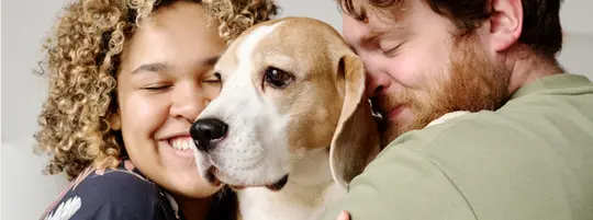 A young mixed race couple cuddling their beagle dog, the woman has curly hair and is smiling at her man with brown short curly hair on a neutral background