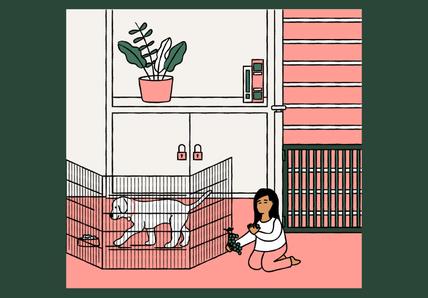 How to dog and child-proof your home