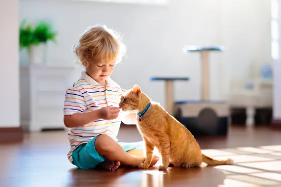 A young boy with a cat