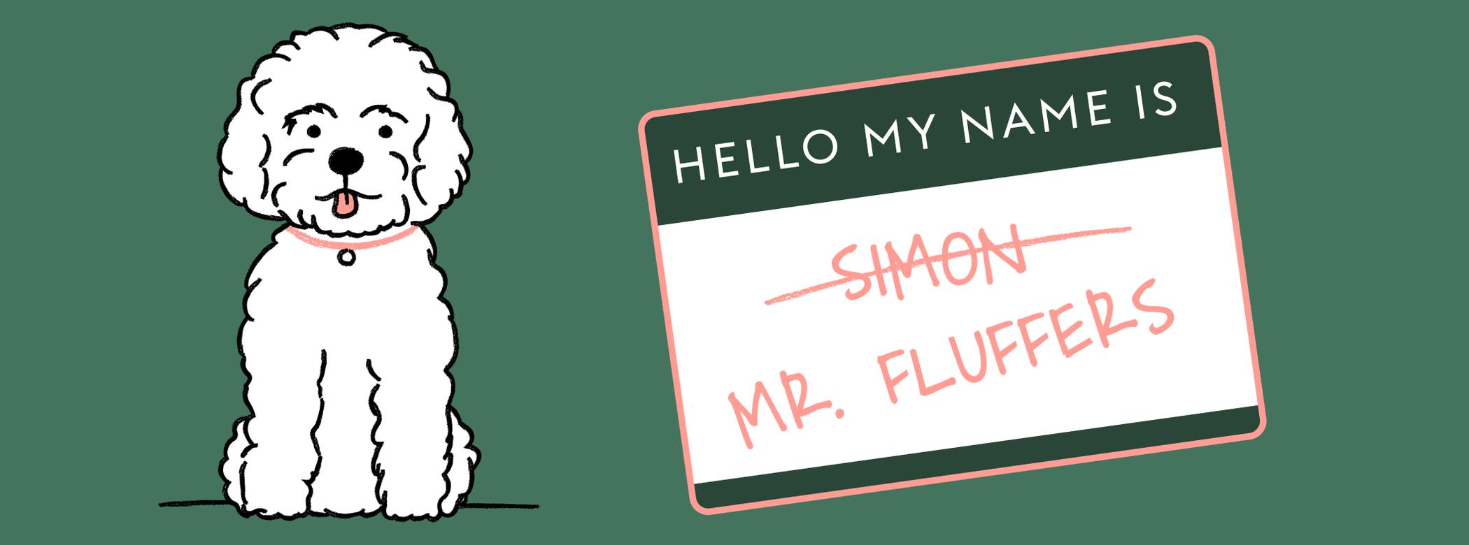 A drawing of a fluffy white dog is presented alongside a name tag. The name tag says "Hello My Name Is" printed at the top. Below, the name 'Simon' is crossed out, and below that is the name ‘Mr. Fluffers’.